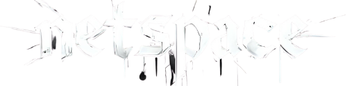 NetSpace Logo